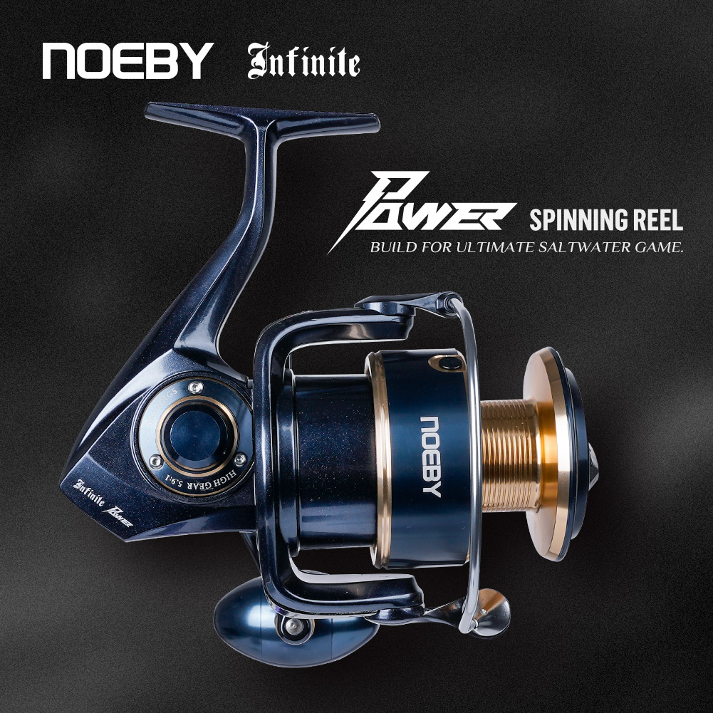Mulinello da Pesca Spinning No - Daiwa Reel Bg recensione e prezzo